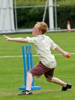 Cricket_14.jpg