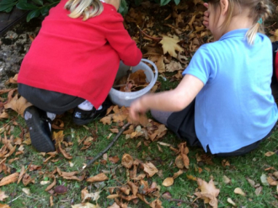 Reception in the Forest School (22)