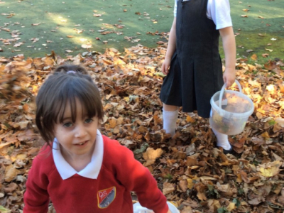 Reception in the Forest School (3)