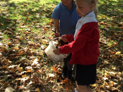 Reception in the Forest School (4)
