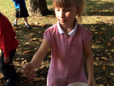 Reception in the Forest School (7)